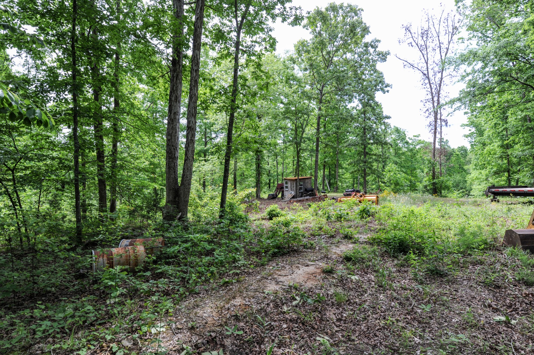 1855 Shiloh Church Road Camden, TN 38320 - Photo 24 of 81 a view of outdoor space and yard