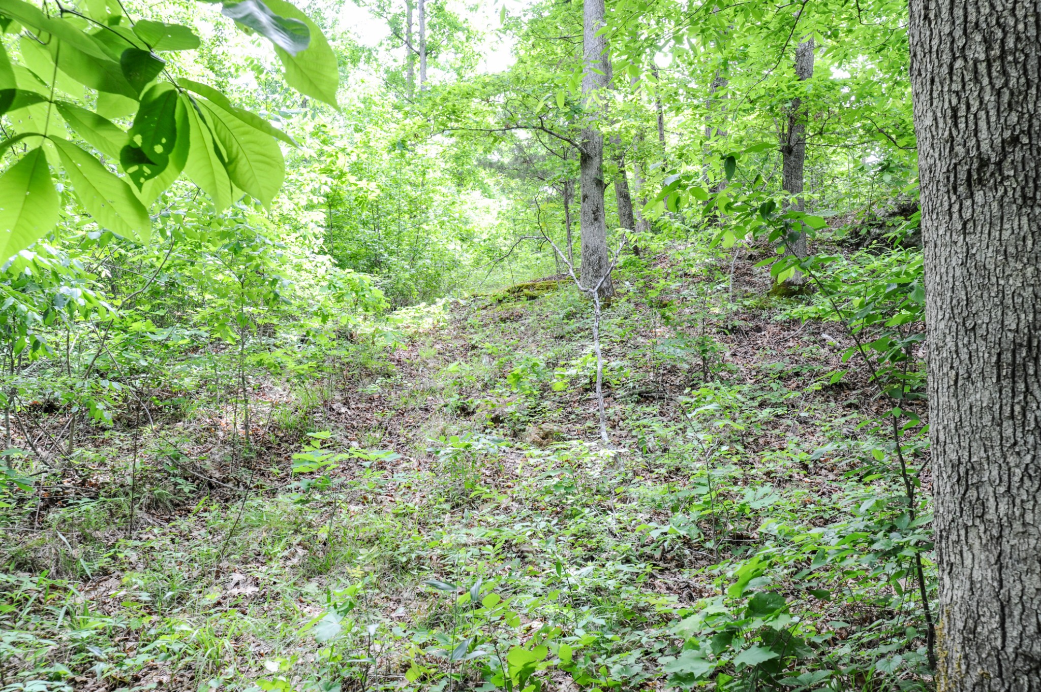 1855 Shiloh Church Road Camden, TN 38320 - Photo 31 of 81