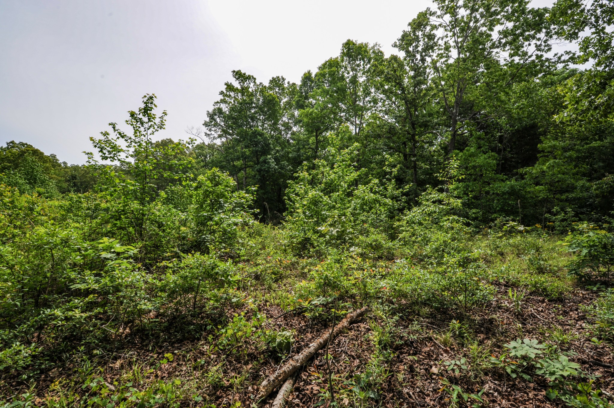 1855 Shiloh Church Road Camden, TN 38320 - Photo 40 of 81