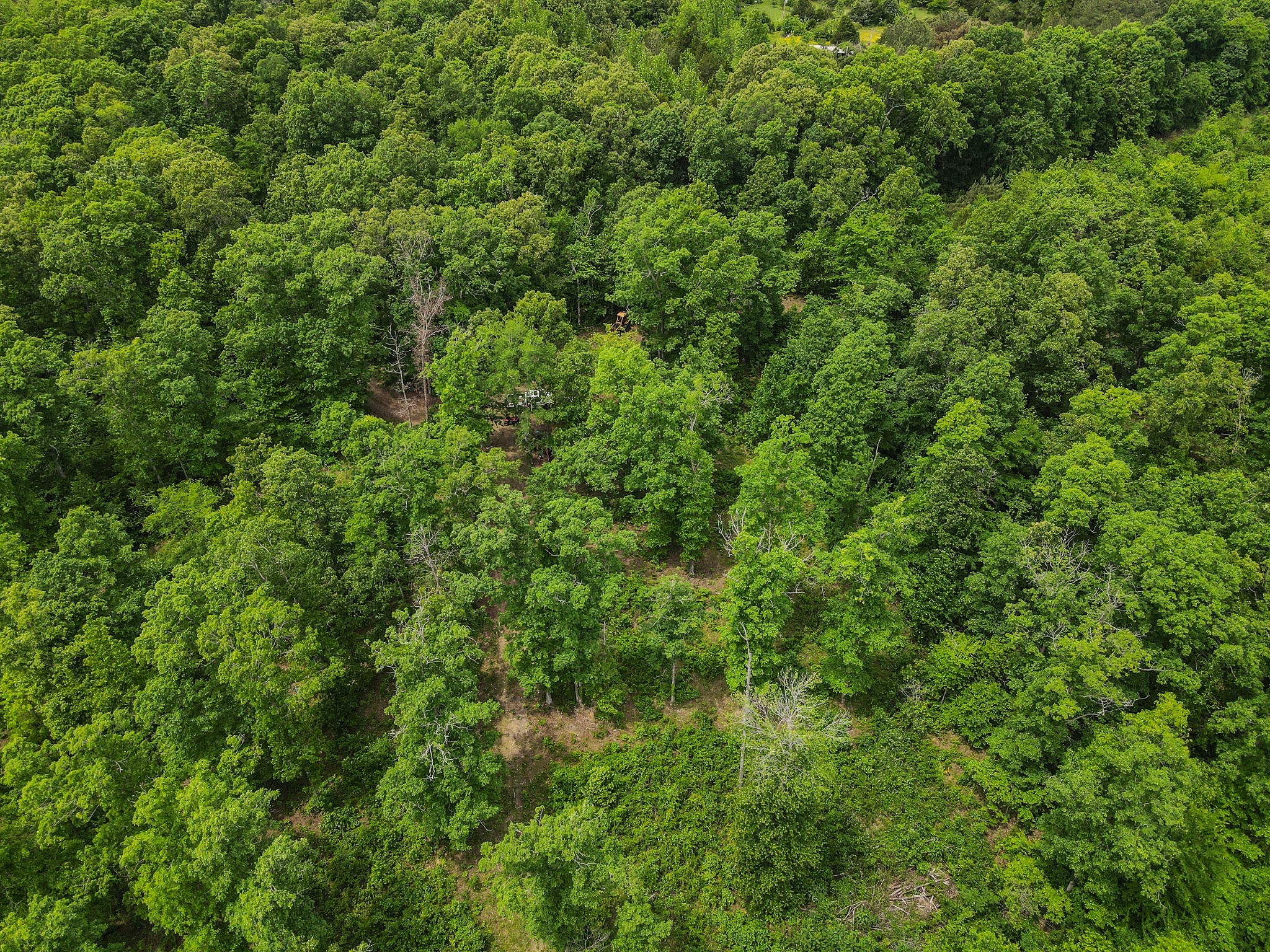 1855 Shiloh Church Road Camden, TN 38320 - Photo 4 of 81