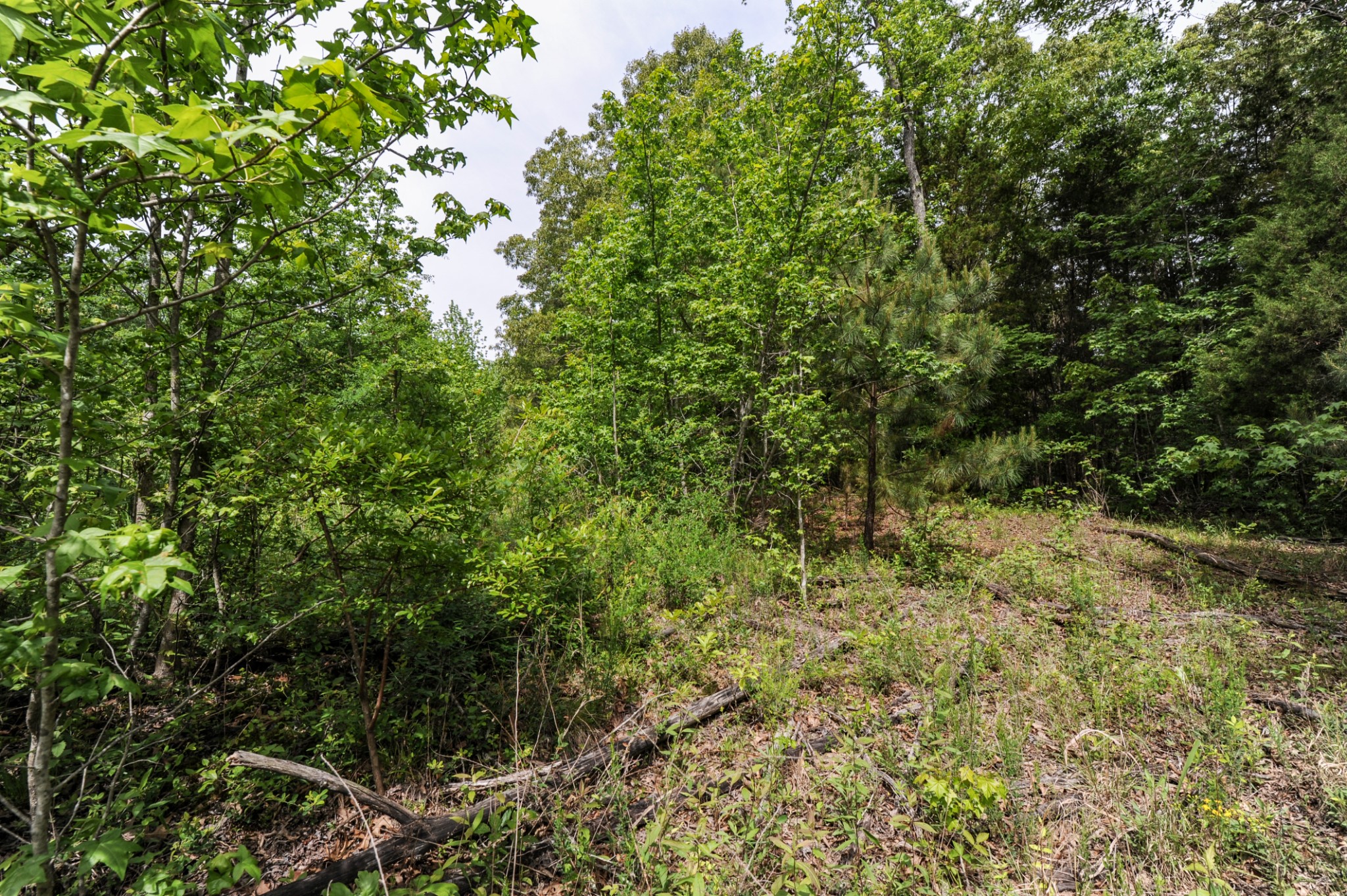 1855 Shiloh Church Road Camden, TN 38320 - Photo 42 of 81