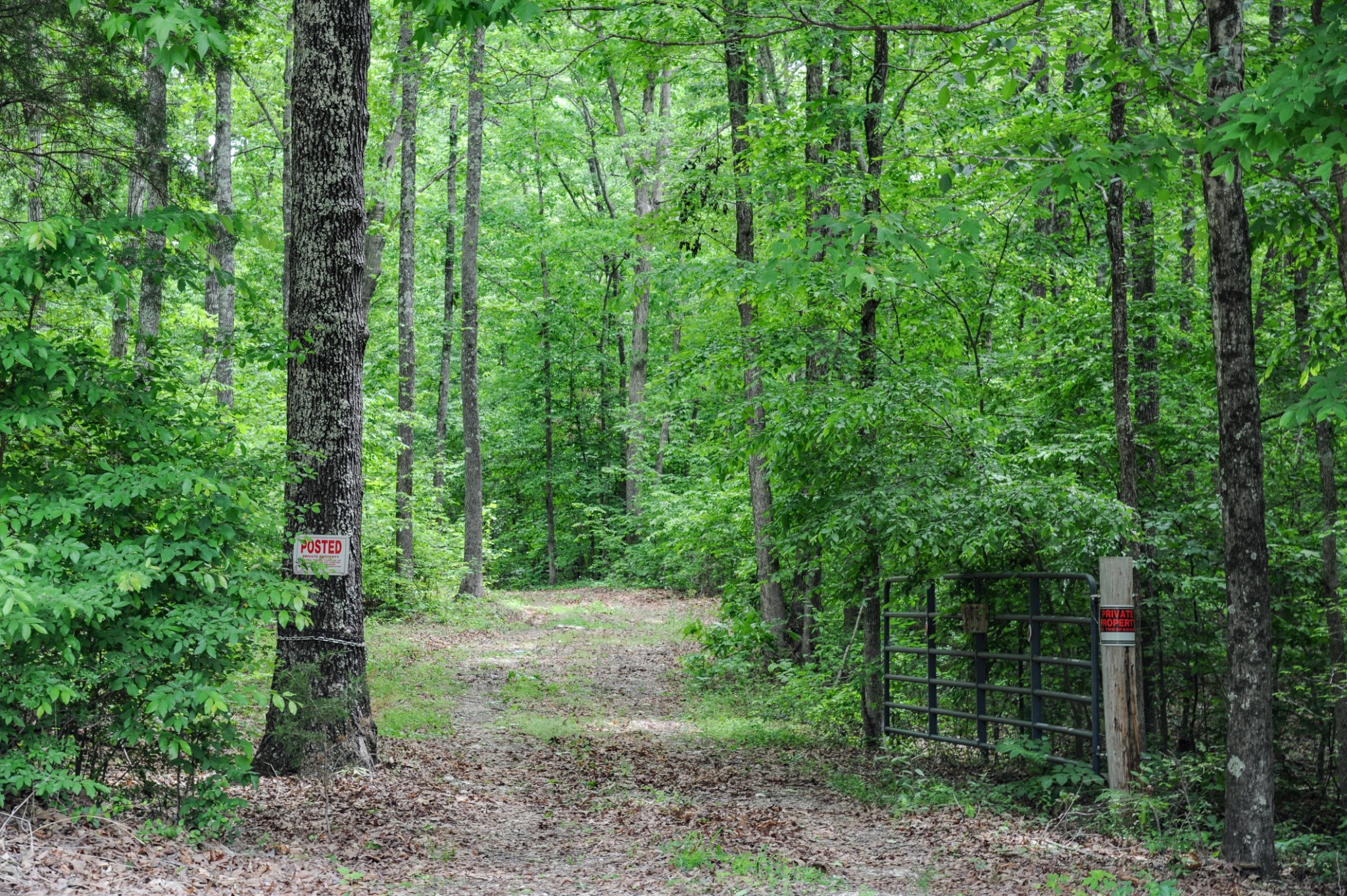 1855 Shiloh Church Road Camden, TN 38320 - Photo 65 of 81