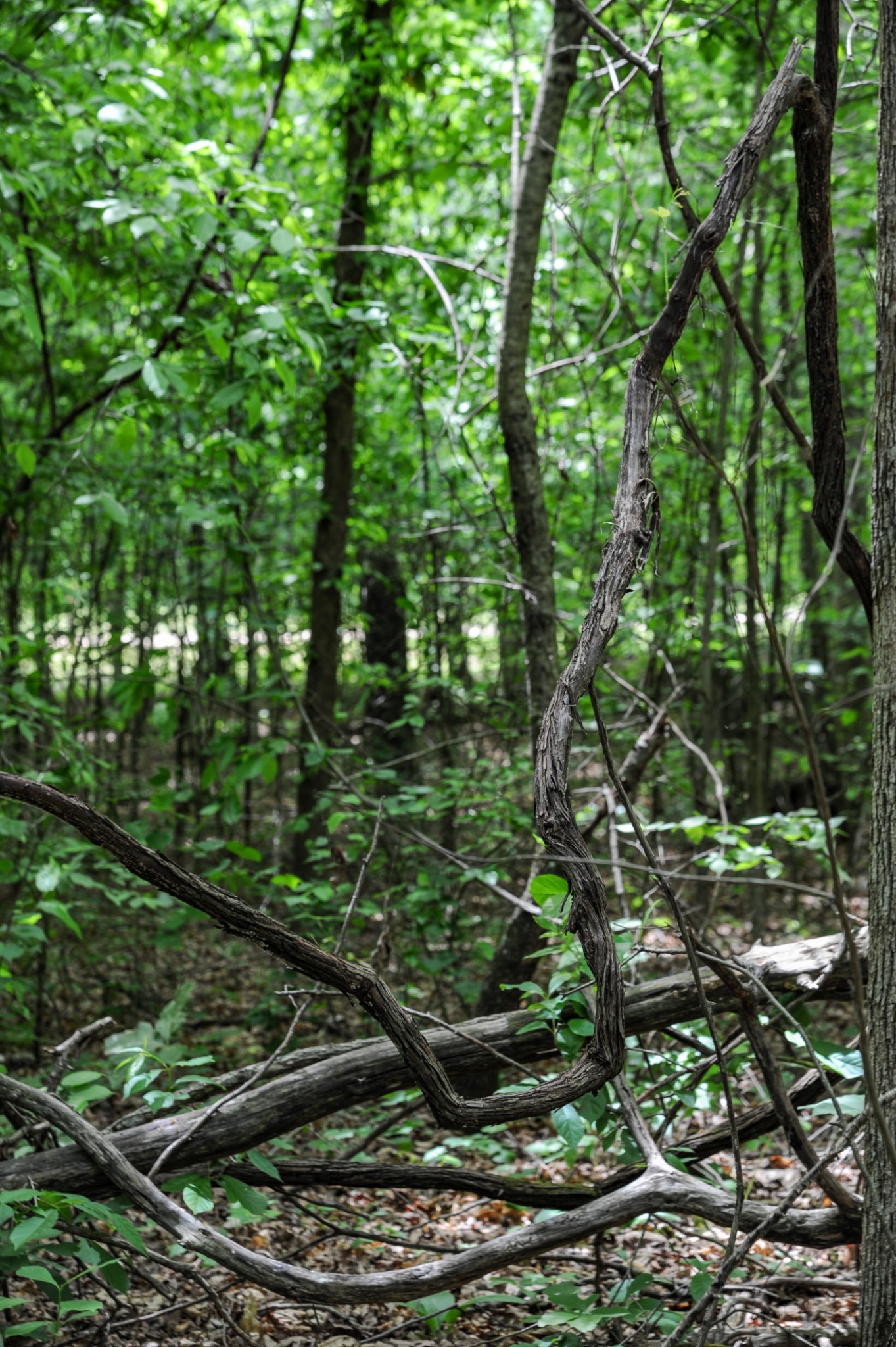1855 Shiloh Church Road Camden, TN 38320 - Photo 73 of 81