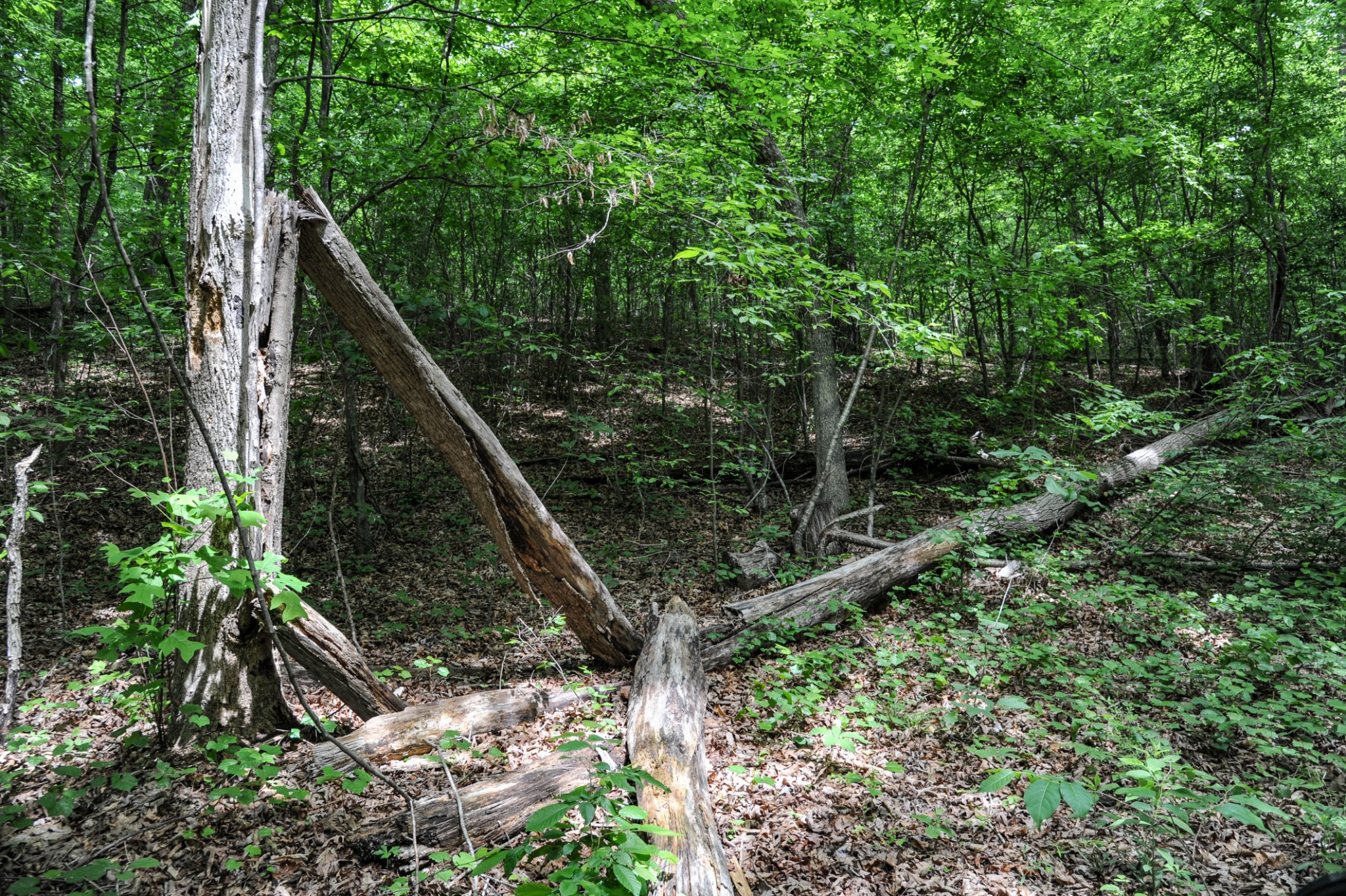 1855 Shiloh Church Road Camden, TN 38320 - Photo 76 of 81
