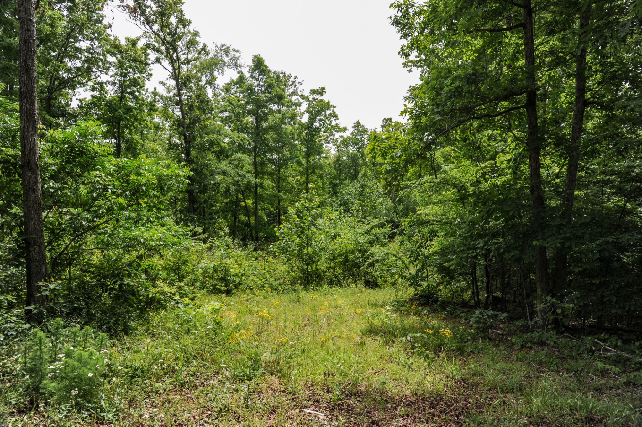 1855 Shiloh Church Road Camden, TN 38320 - Photo 80 of 81