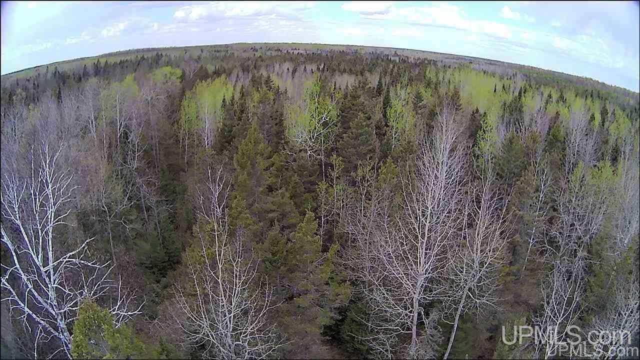 Tbd Tbd Co Road, Unit 1 Marquette, MI 49855 - Photo 3 of 50