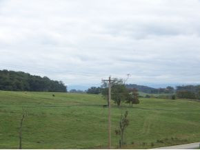 2967 Valley Home Road White Pine, TN 37890 - Photo 3 of 20 Photo 3