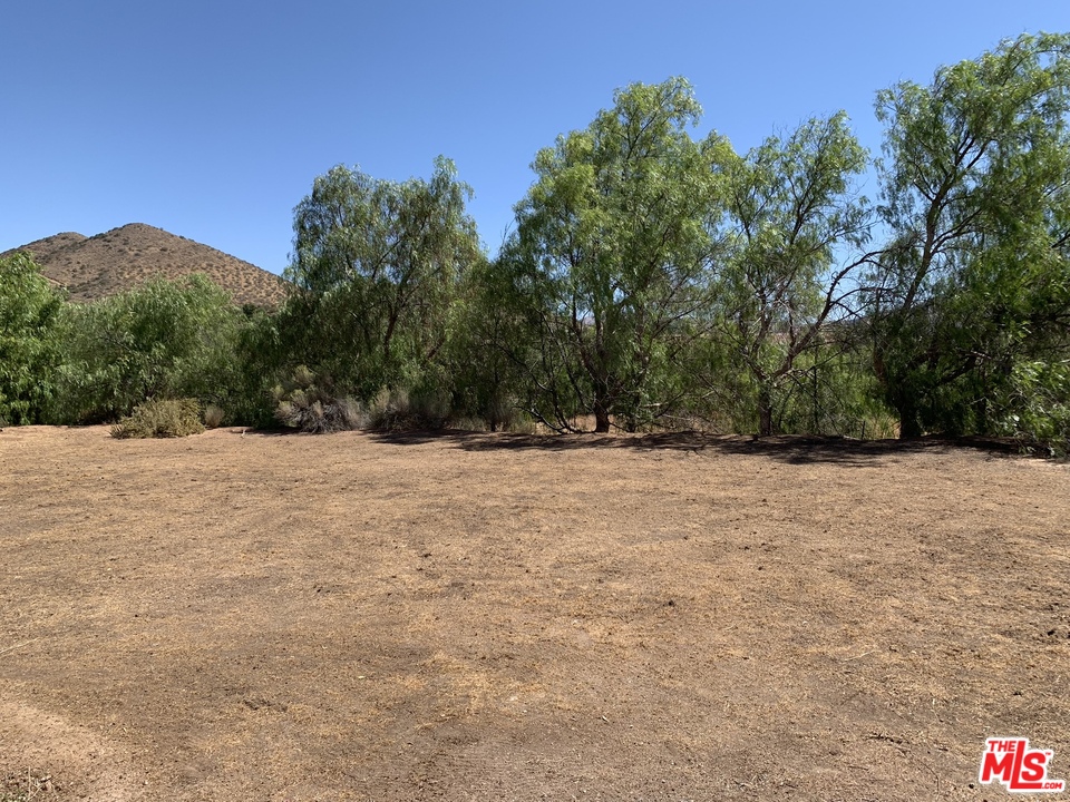 33406 Desert Road Acton, CA 93510 - Photo 13 of 14 Gallery Image 13