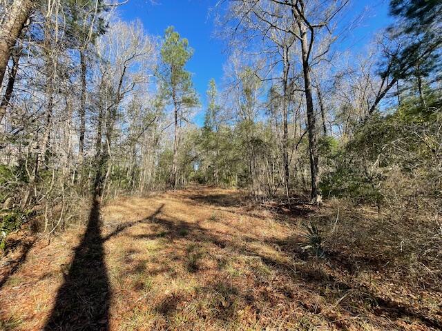 117 Oak Estates Way Ridgeville, SC 29472 - Photo 18 of 26 IMG_3791