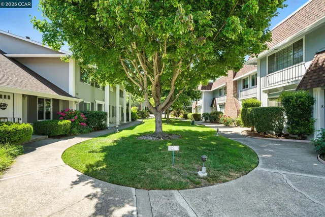 a view of a house with a garden