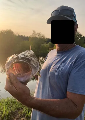 $650,000 | 4171 Maud Tx 75567, Maud, TX 75567