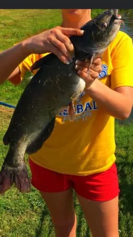 $650,000 | 4171 Maud Tx 75567, Maud, TX 75567