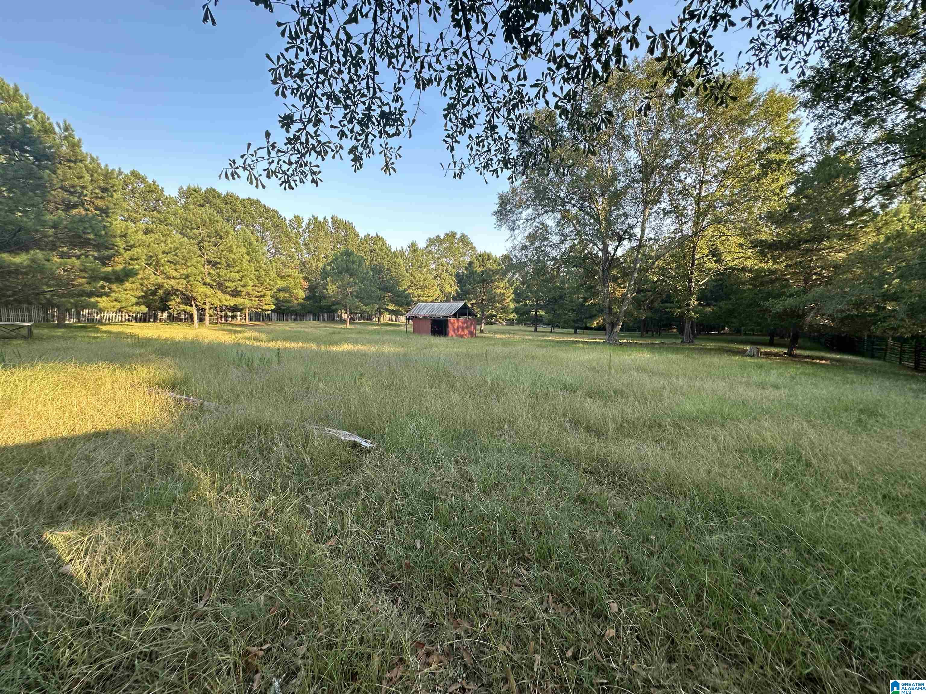 0 Honeycut Road Randolph, AL 36792 - Photo 17 of 29