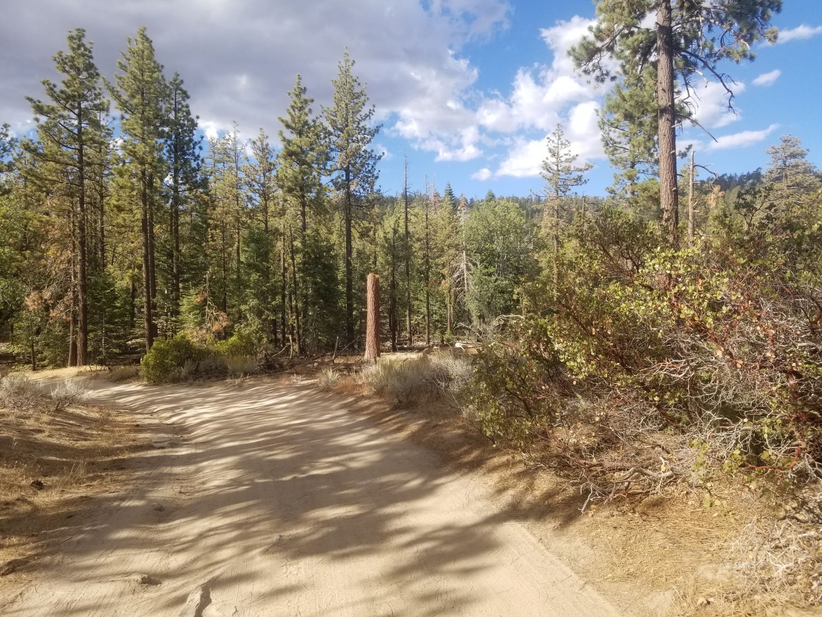 Piute Pines Caliente, CA 93518 - Photo 3 of 26