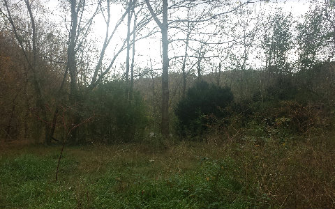 22-ac Whitepath Road Ellijay, GA 30540 - Photo 1 of 1 Main View