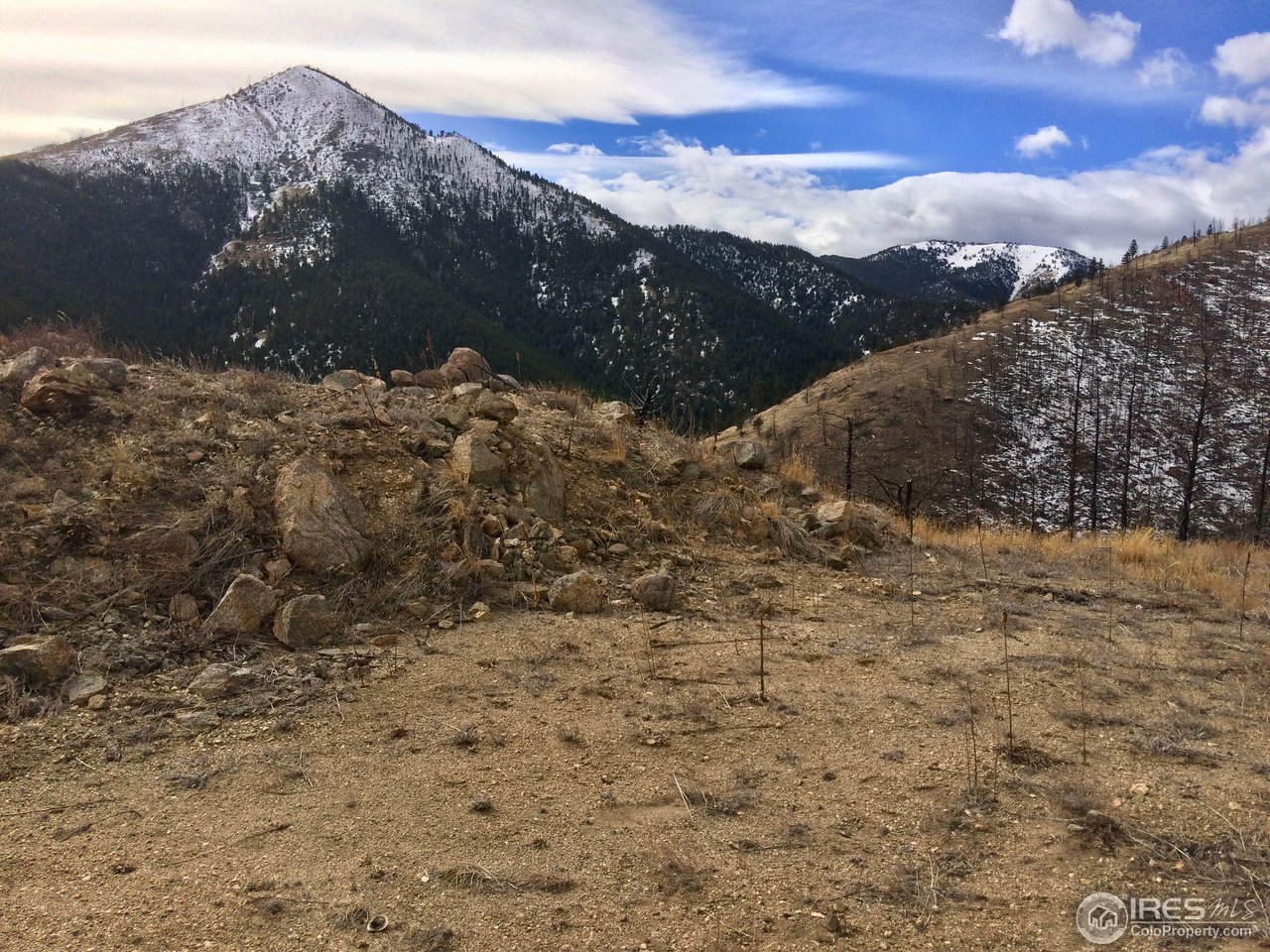 560 Emerson Gulch Road Boulder, CO 80302 - Photo 6 of 7 a view of a dry yard with mountains in the background