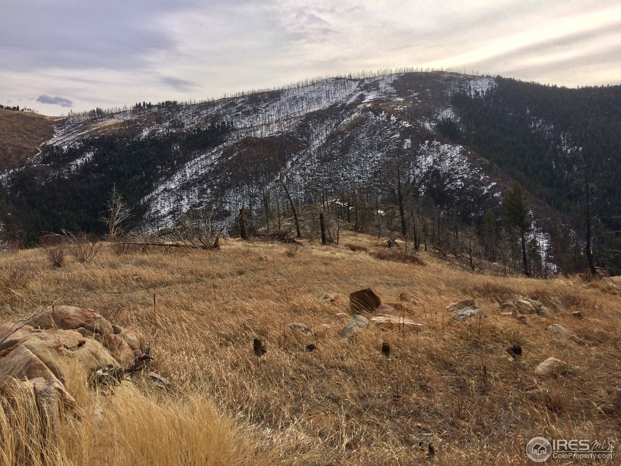 560 Emerson Gulch Road Boulder, CO 80302 - Photo 7 of 7 a view of a covered with snow in the background