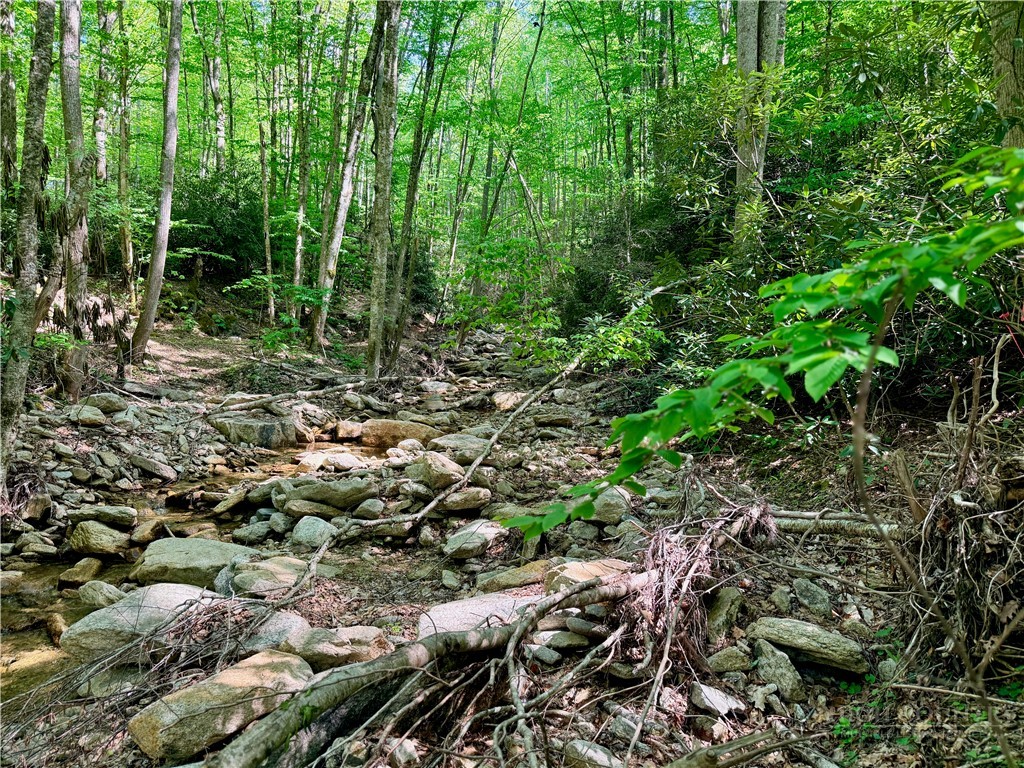 Lot 5 Buckeye Ridge Road Beech Mountain, NC 28604 - Photo 10 of 12
