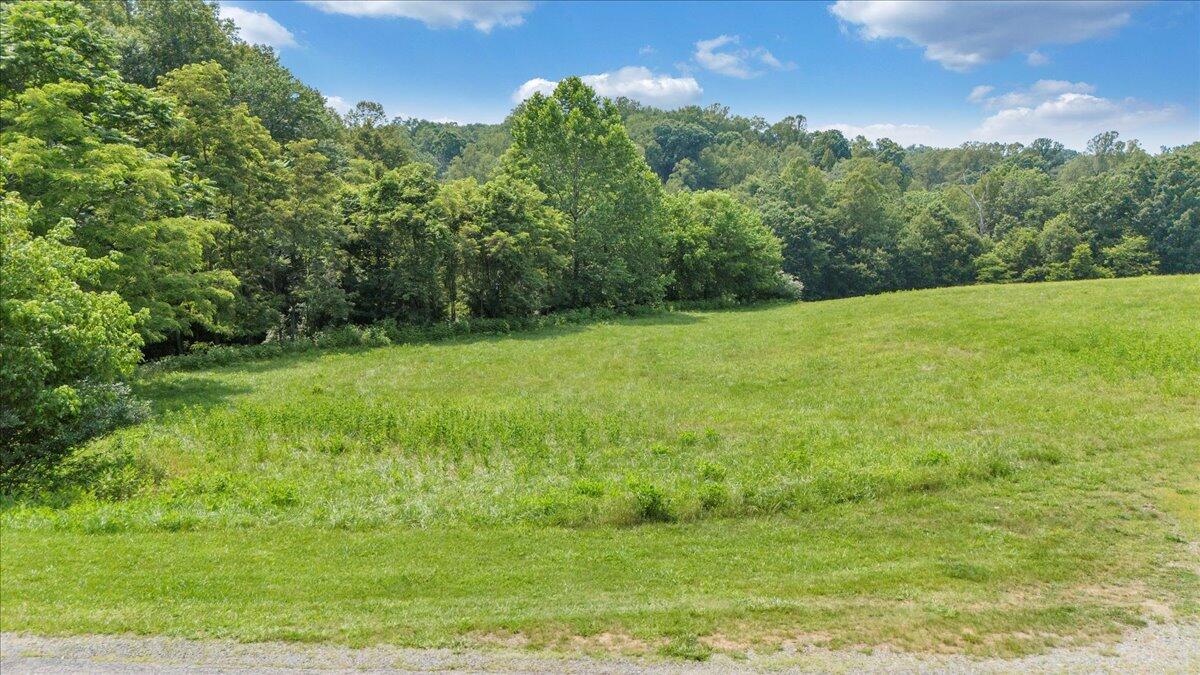 Lot 2-3 Idlewood Road Hardy, VA 24101 - Photo 11 of 65 a view of yard with green space