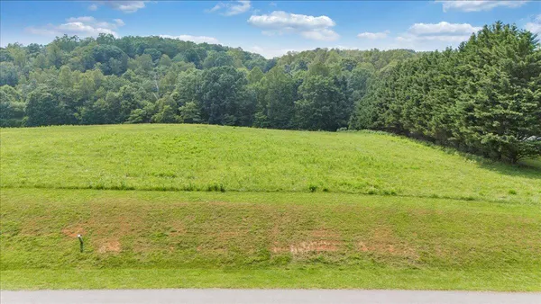 a view of a green field with clear sky