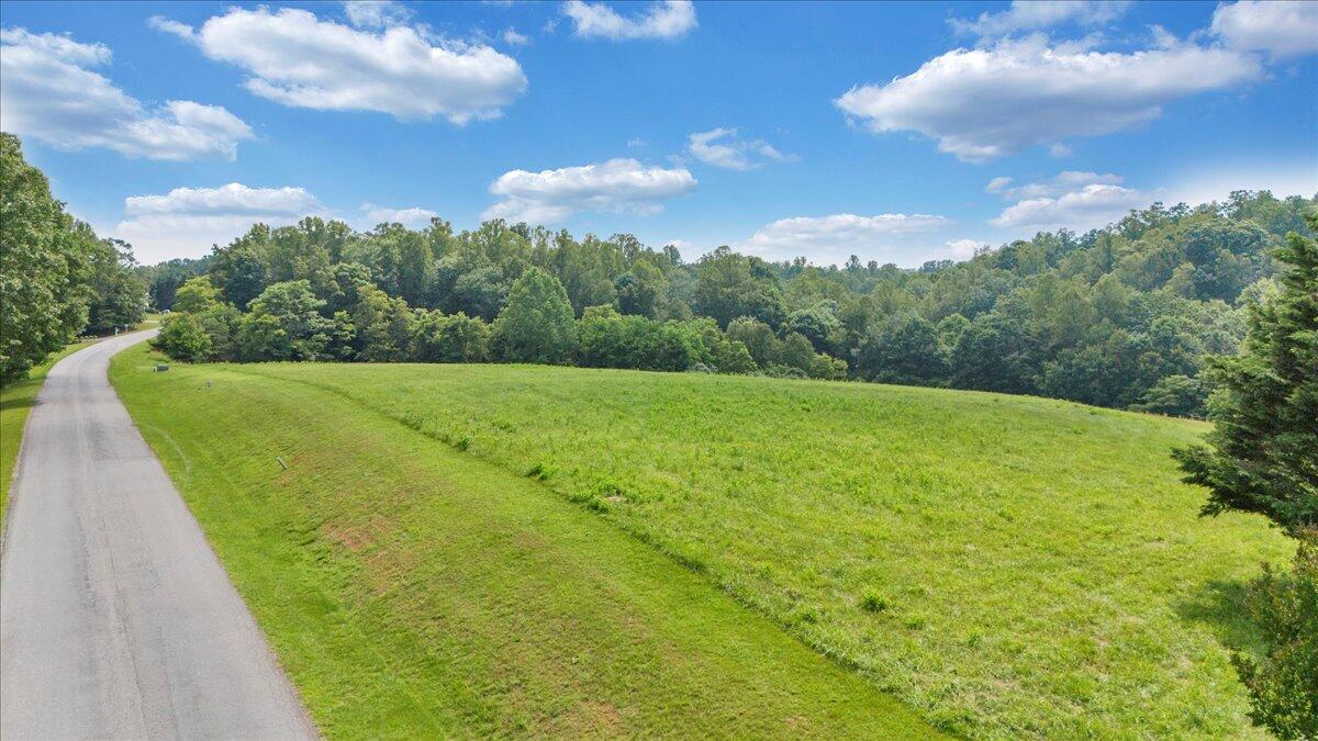Lot 2-3 Idlewood Road Hardy, VA 24101 - Photo 19 of 65 a view of an outdoor space and a yard