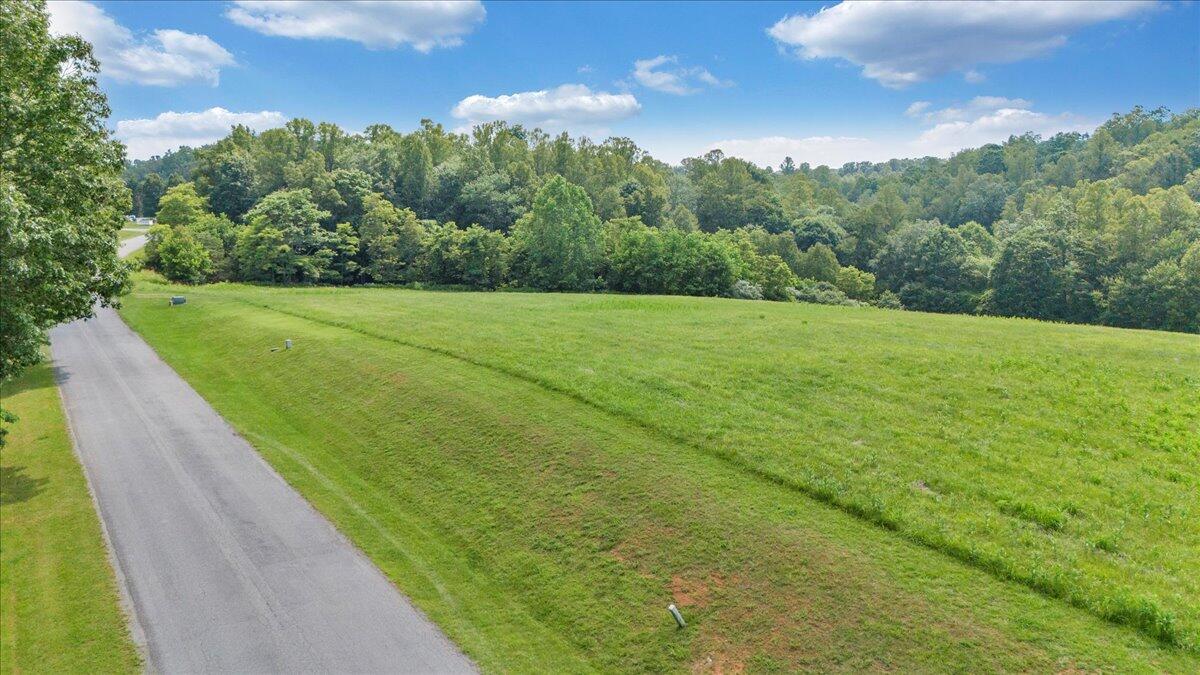Lot 2-3 Idlewood Road Hardy, VA 24101 - Photo 20 of 65 a view of a yard with an trees