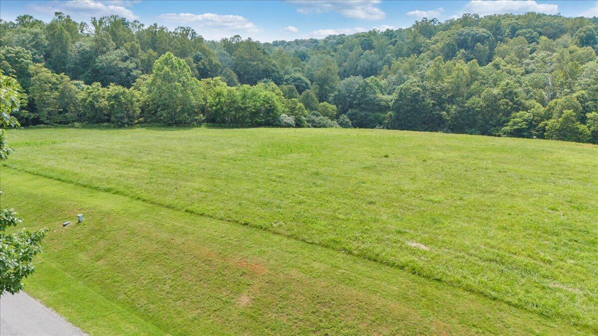 Lot 2-3 Idlewood Road Hardy, VA 24101 - Photo 22 of 65 a view of a grassy field with trees in the background