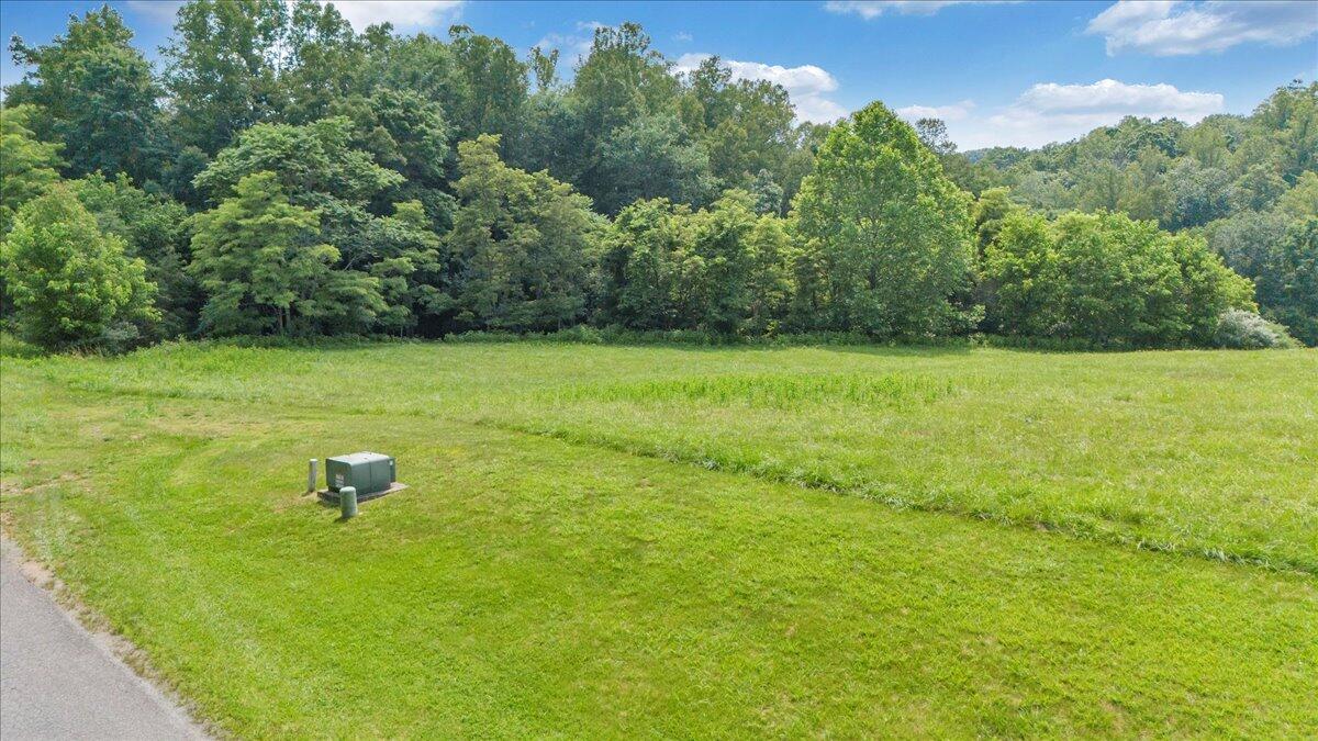 Lot 2-3 Idlewood Road Hardy, VA 24101 - Photo 24 of 65 a backyard of a house with lots of green space