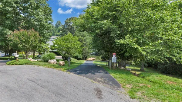 a view of a yard with plants and large trees