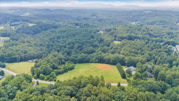 an aerial view of residential houses with outdoor space and trees