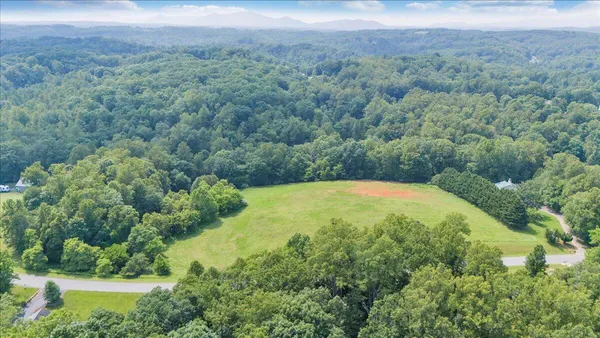 a view of a garden with lawn chairs under an umbrella