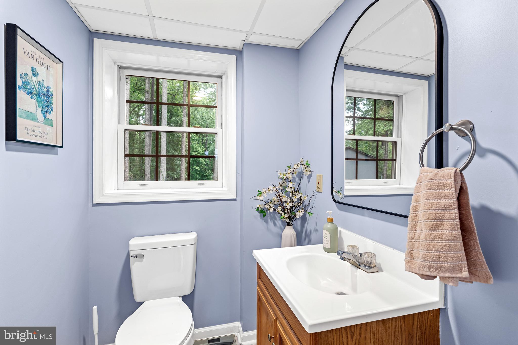 1425 Jacks Shop Road Rochelle, VA 22738 - Photo 32 of 56 a bathroom with a sink a toilet and mirror