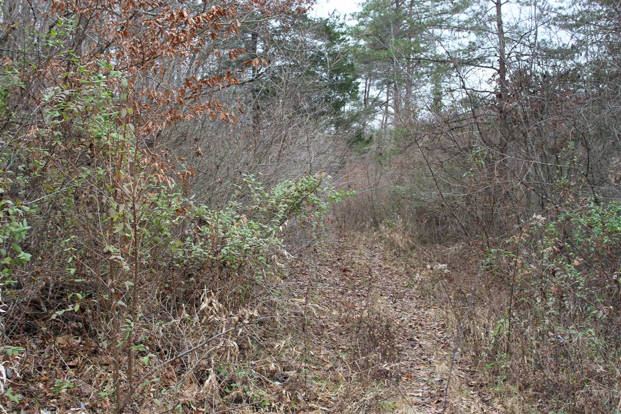 1065 Blaze Road West Liberty, KY 41472 - Photo 10 of 24 Gallery Image 10
