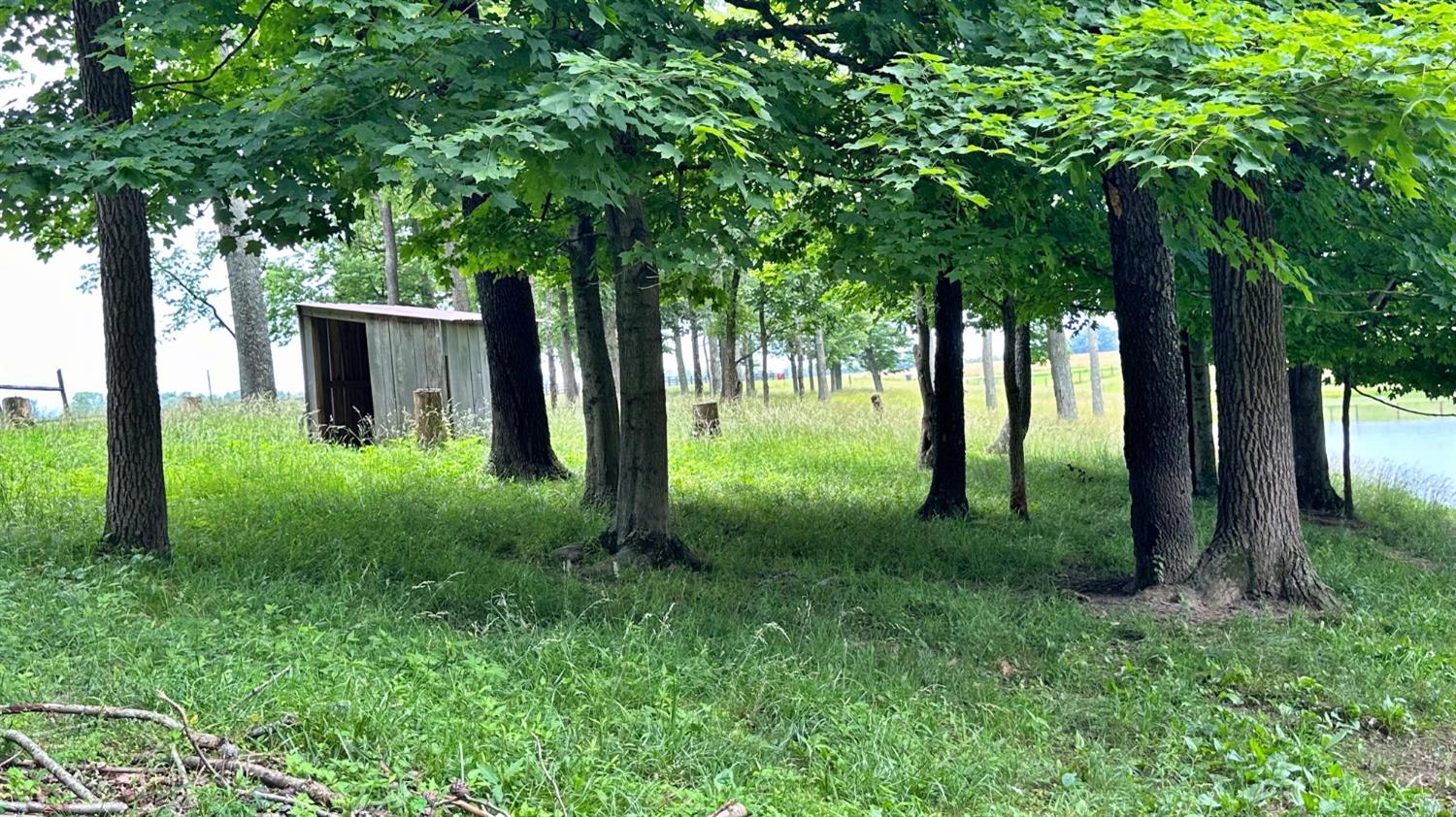 18786 Ruble Road Aurora, IN 47001 - Photo 47 of 54