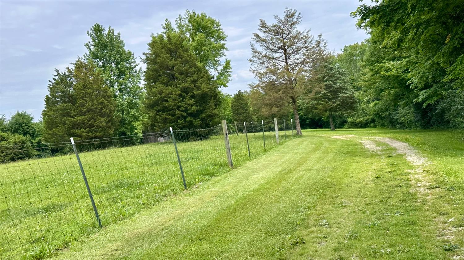 18786 Ruble Road Aurora, IN 47001 - Photo 52 of 54