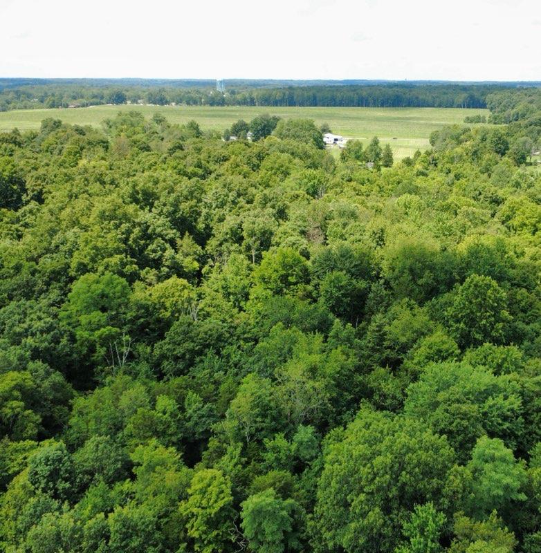 18786 Ruble Road Aurora, IN 47001 - Photo 53 of 54