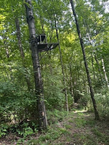 18786 Ruble Road Aurora, IN 47001 - Photo 54 of 54