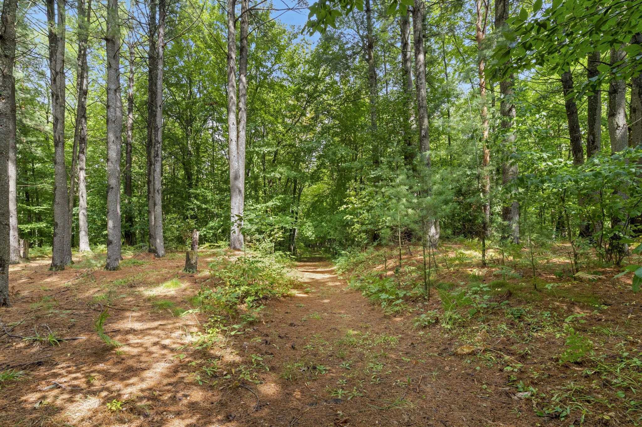 4155 Spencer Road Southeast Kalkaska, MI 49646 - Photo 65 of 83 1950565-3243d690-18c0-4518-9dbb-2abf17ec8cb8.JPG