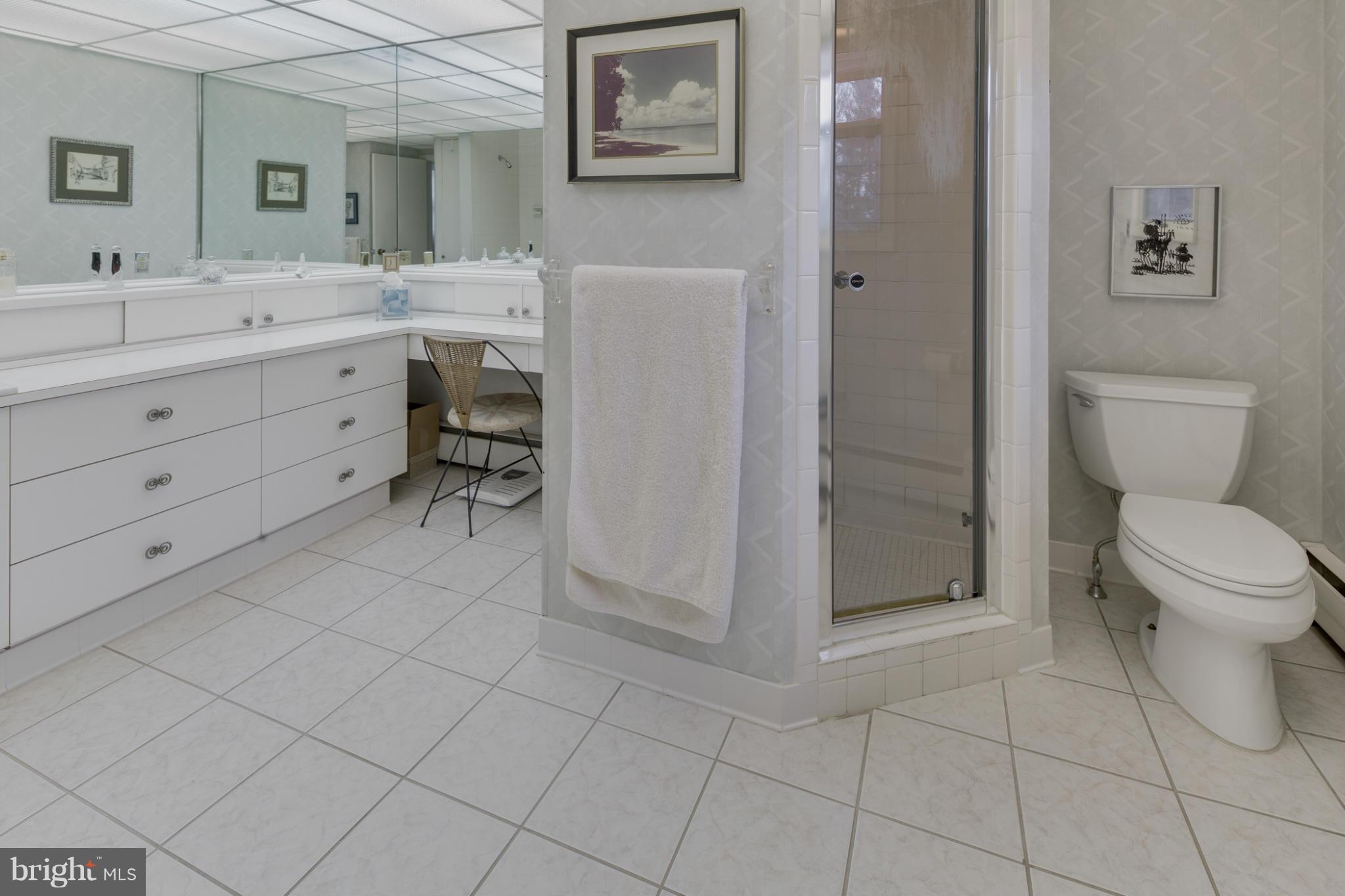 6 Springbriar Lane Baltimore, MD 21208 - Photo 16 of 29 Bath (Master)