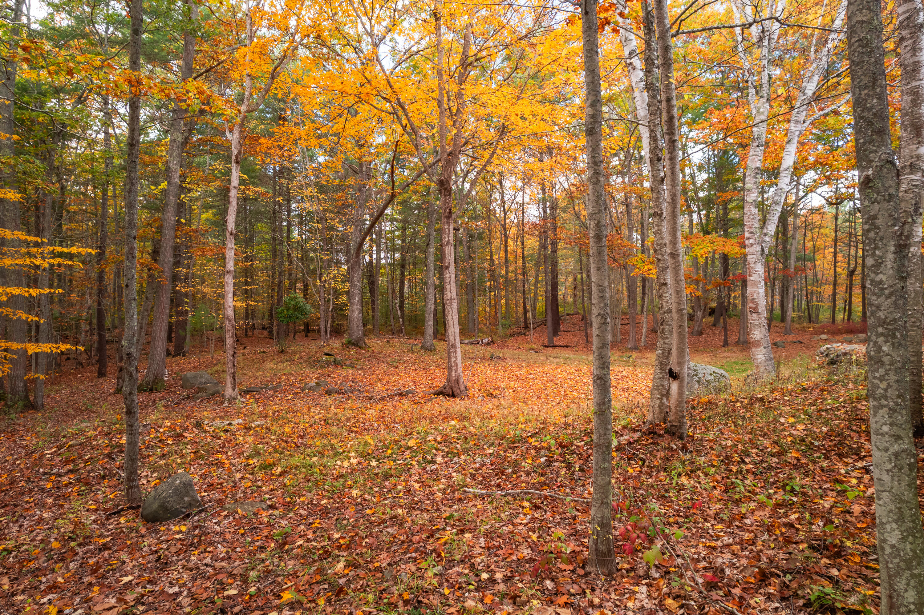131 Seabury Road York, ME 03909 - Photo 13 of 26