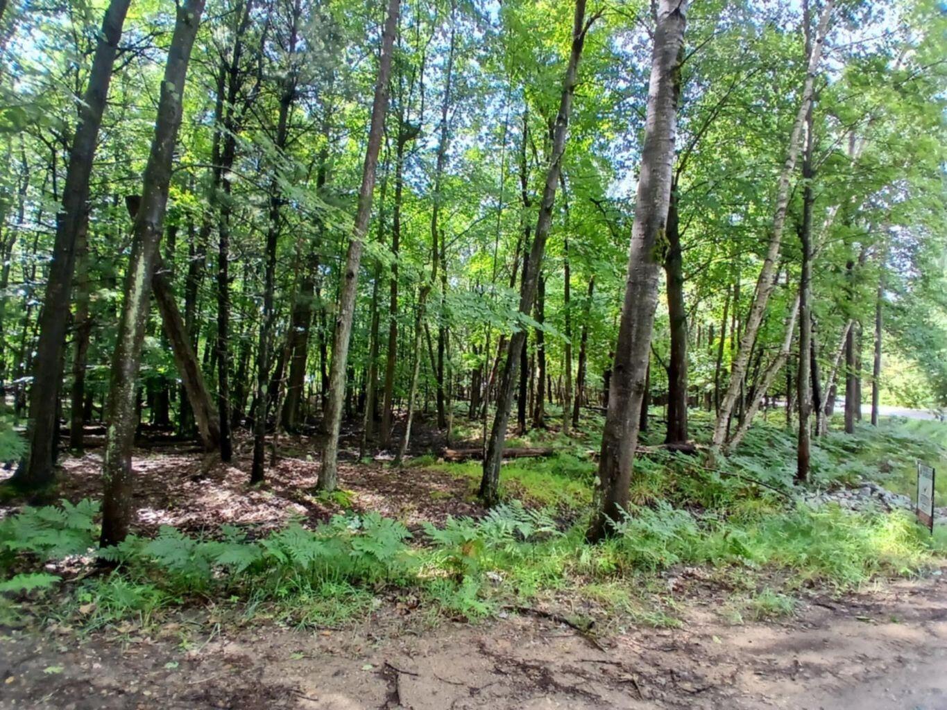 Range Street Mears, MI 49436 - Photo 2 of 10 20250813012547215780000000-o