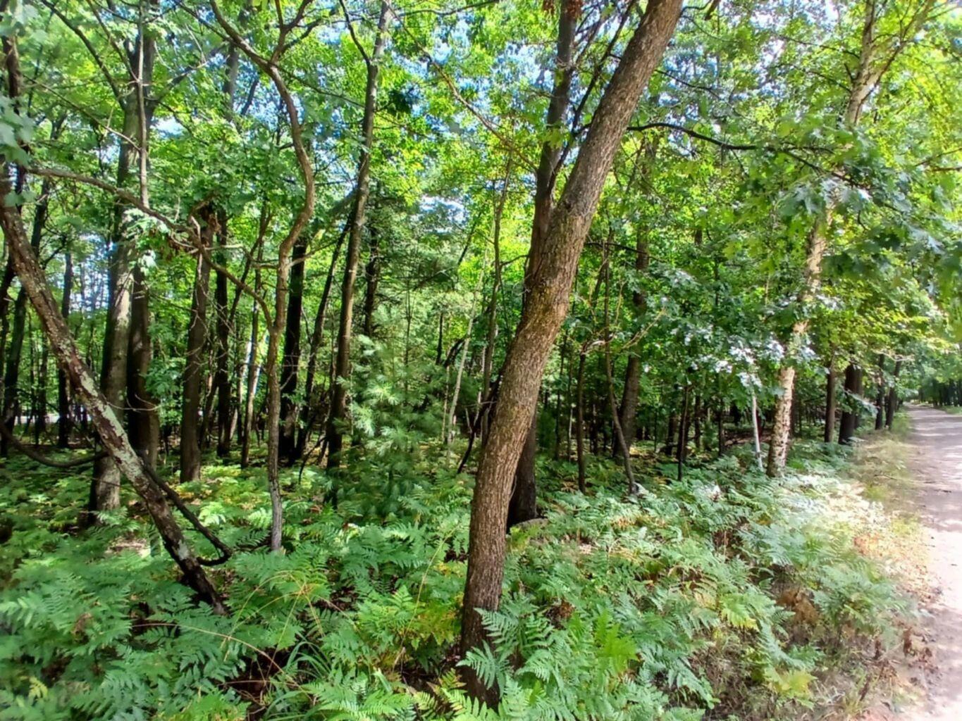 Range Street Mears, MI 49436 - Photo 6 of 10 20250813012553329724000000-o