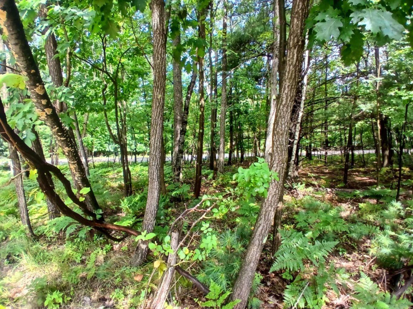 Range Street Mears, MI 49436 - Photo 8 of 10 20250813012556546838000000-o