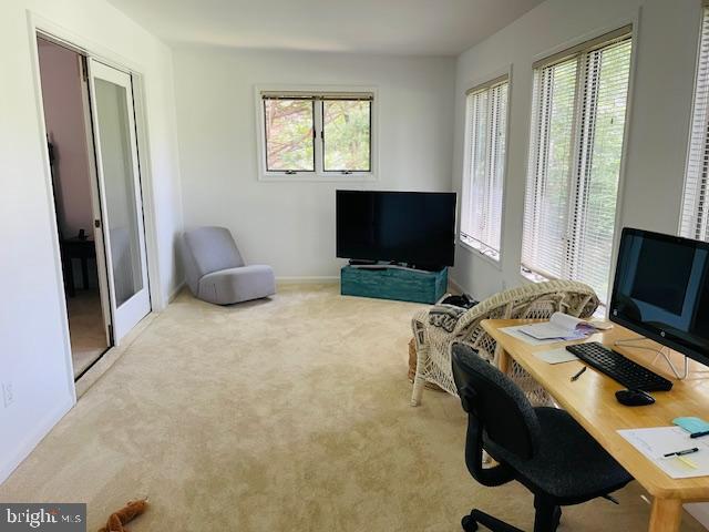 200 Pine Valley Road Locust Grove, VA 22508 - Photo 13 of 17 Bonus room off of the Primary Bedroom
