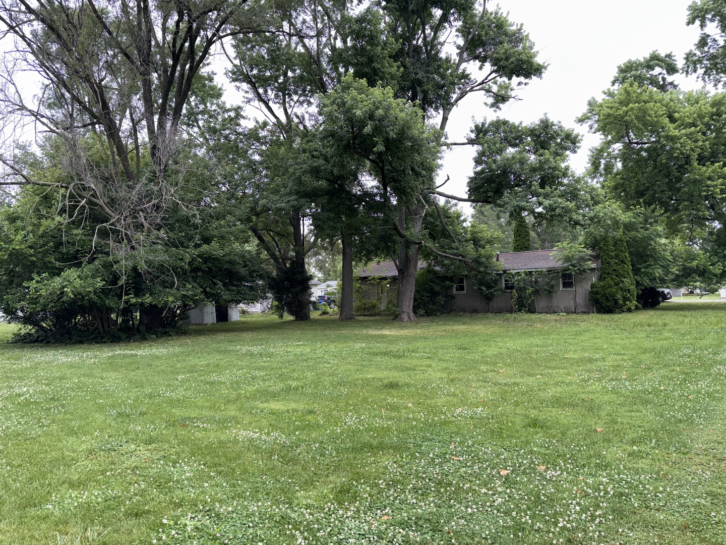 43 Corman Court Decatur, IL 62521 - Photo 6 of 19