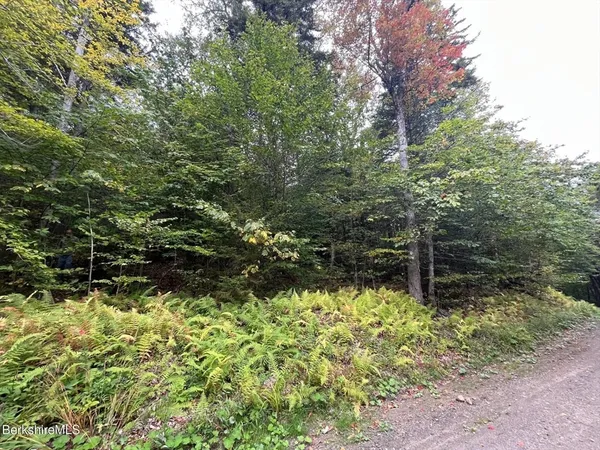 $30,000 | 0 Manley Phelps Road, North Adams, MA 01247