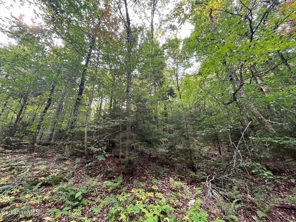 $30,000 | 0 Manley Phelps Road, North Adams, MA 01247