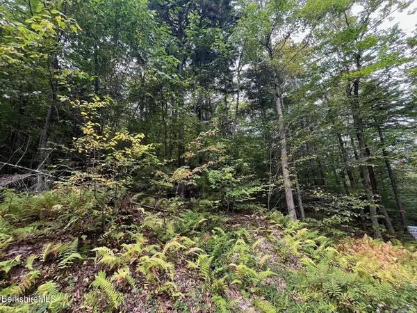 $30,000 | 0 Manley Phelps Road, North Adams, MA 01247