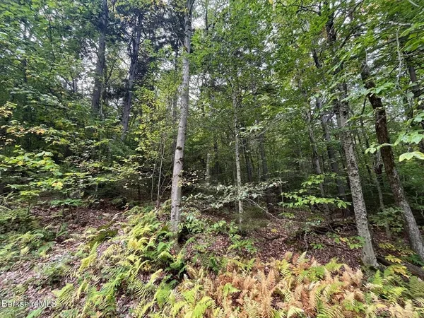 $30,000 | 0 Manley Phelps Road, North Adams, MA 01247