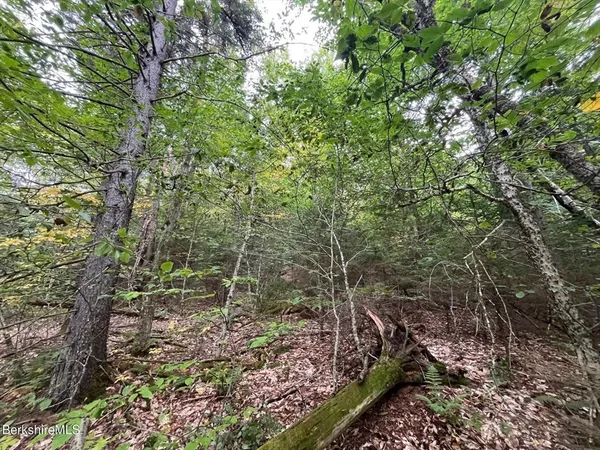 $30,000 | 0 Manley Phelps Road, North Adams, MA 01247